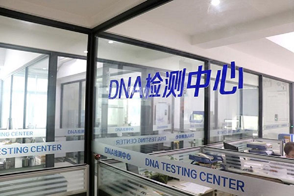 DNAǮ